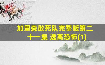 加里森敢死队完整版第二十一集 逃离恐怖(1)